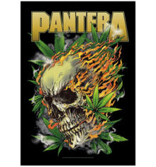 PANTERA - SKULL LEAF